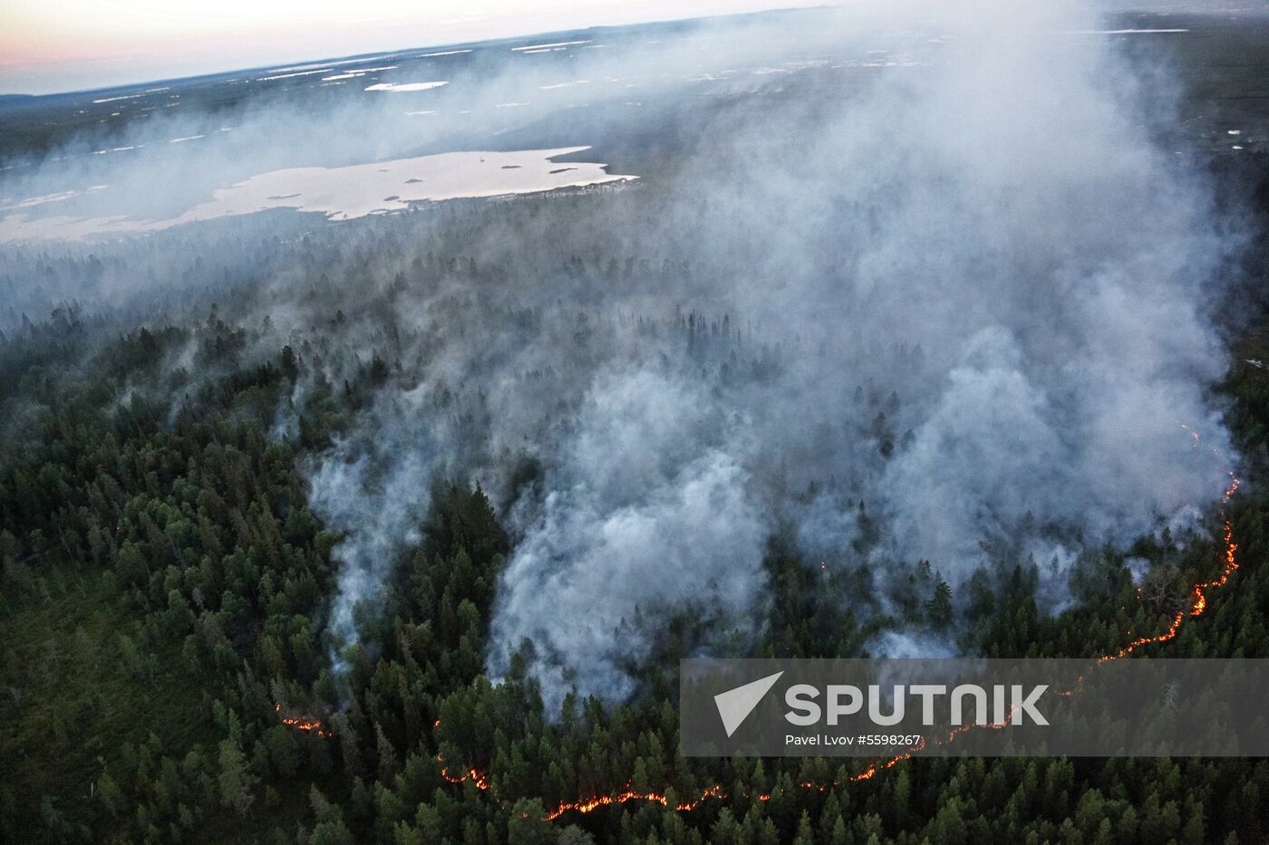Fire in Murmansk Region