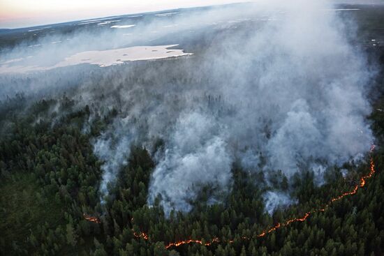 Fire in Murmansk Region