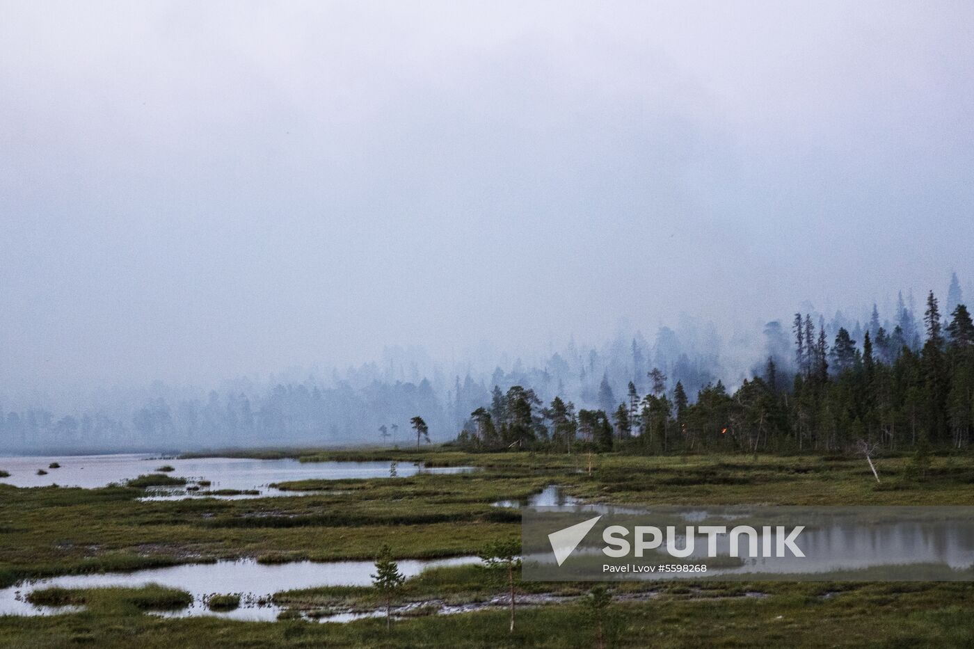 Fire in Murmansk Region