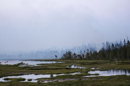 Fire in Murmansk Region
