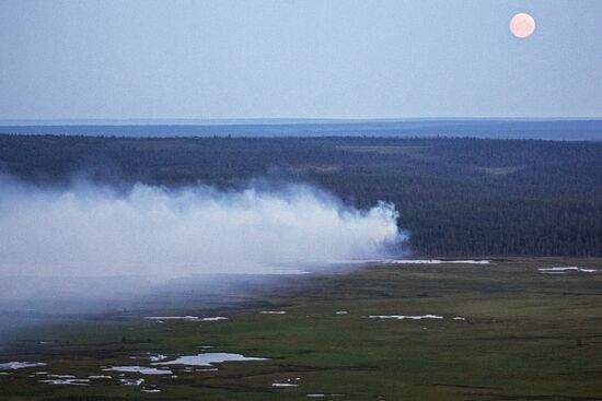 Fire in Murmansk Region