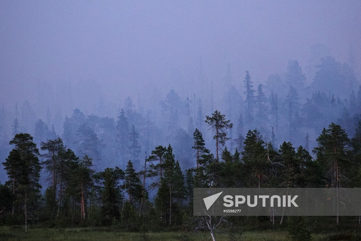 Fire in Murmansk Region