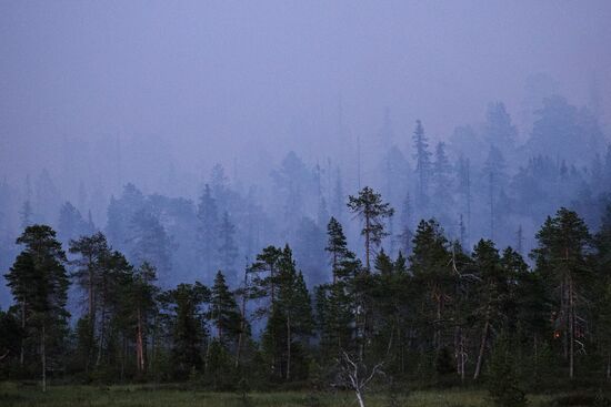 Fire in Murmansk Region