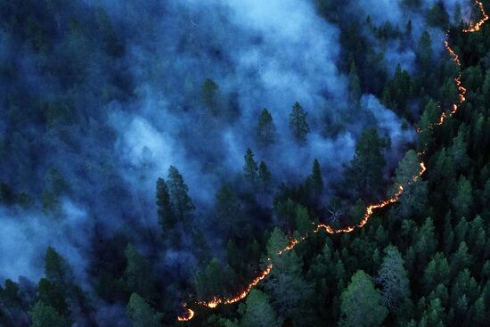 Fire in Murmansk Region
