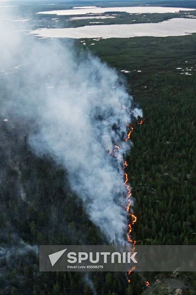 Fire in Murmansk Region