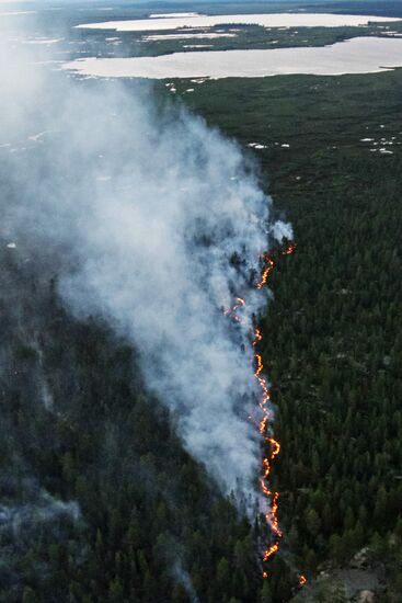 Fire in Murmansk Region