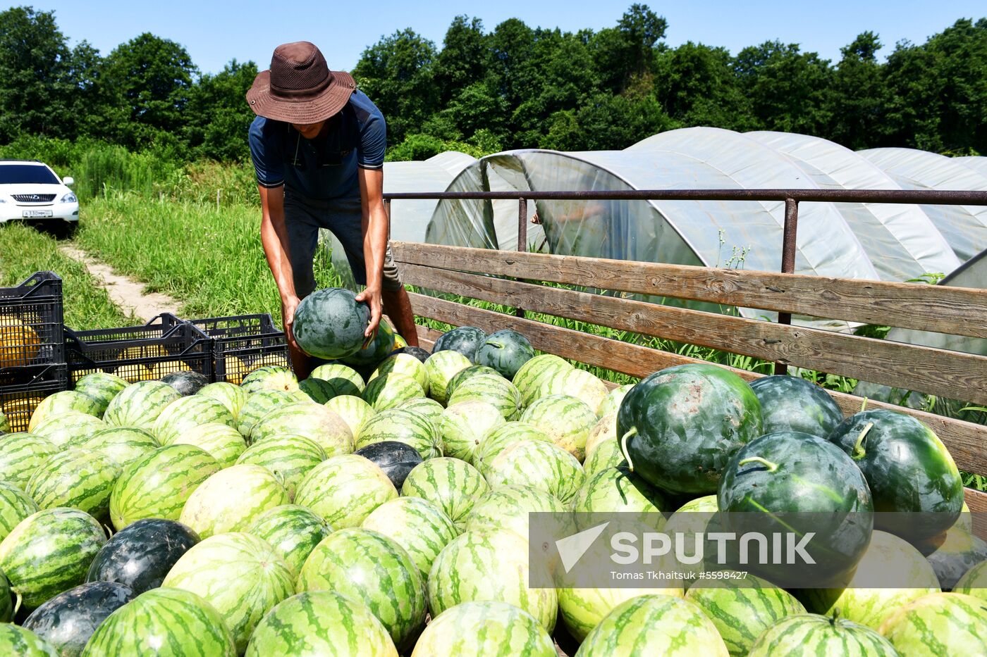 Harvest time in Abkhazia