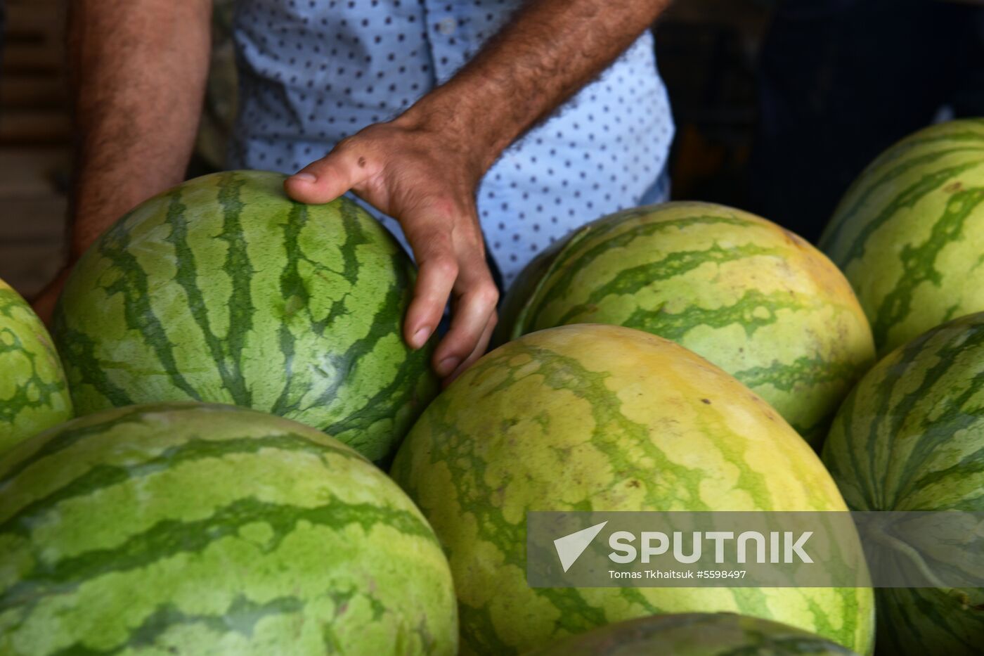 Harvest time in Abkhazia