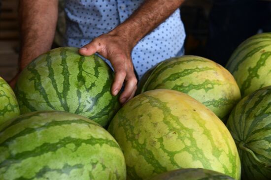 Harvest time in Abkhazia