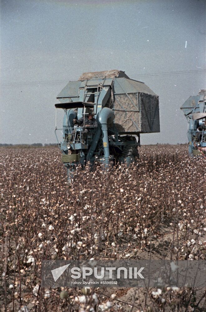 Golodnaya (Hungry) Steppe of Uzbek SSR