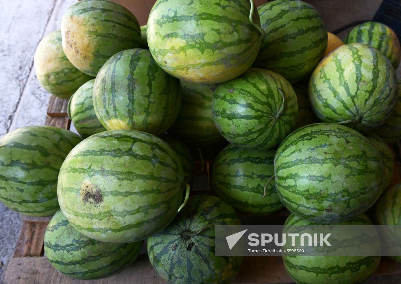 Harvest time in Abkhazia