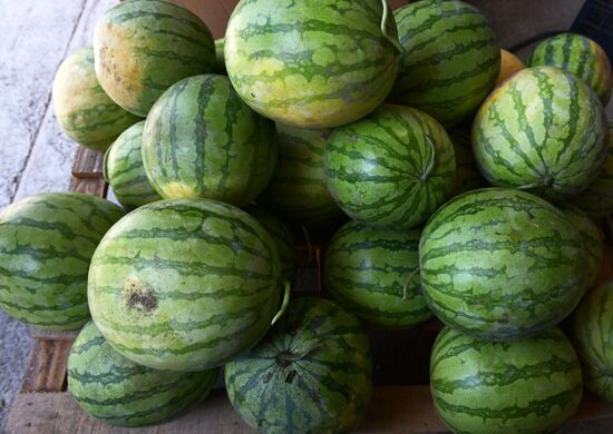 Harvest time in Abkhazia