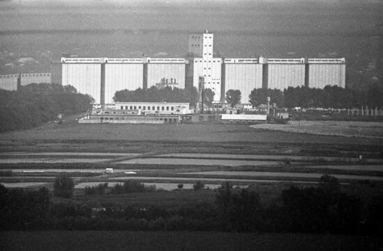 Kirov collective farm in Kuban