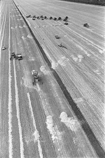 Oktyabr collective farm