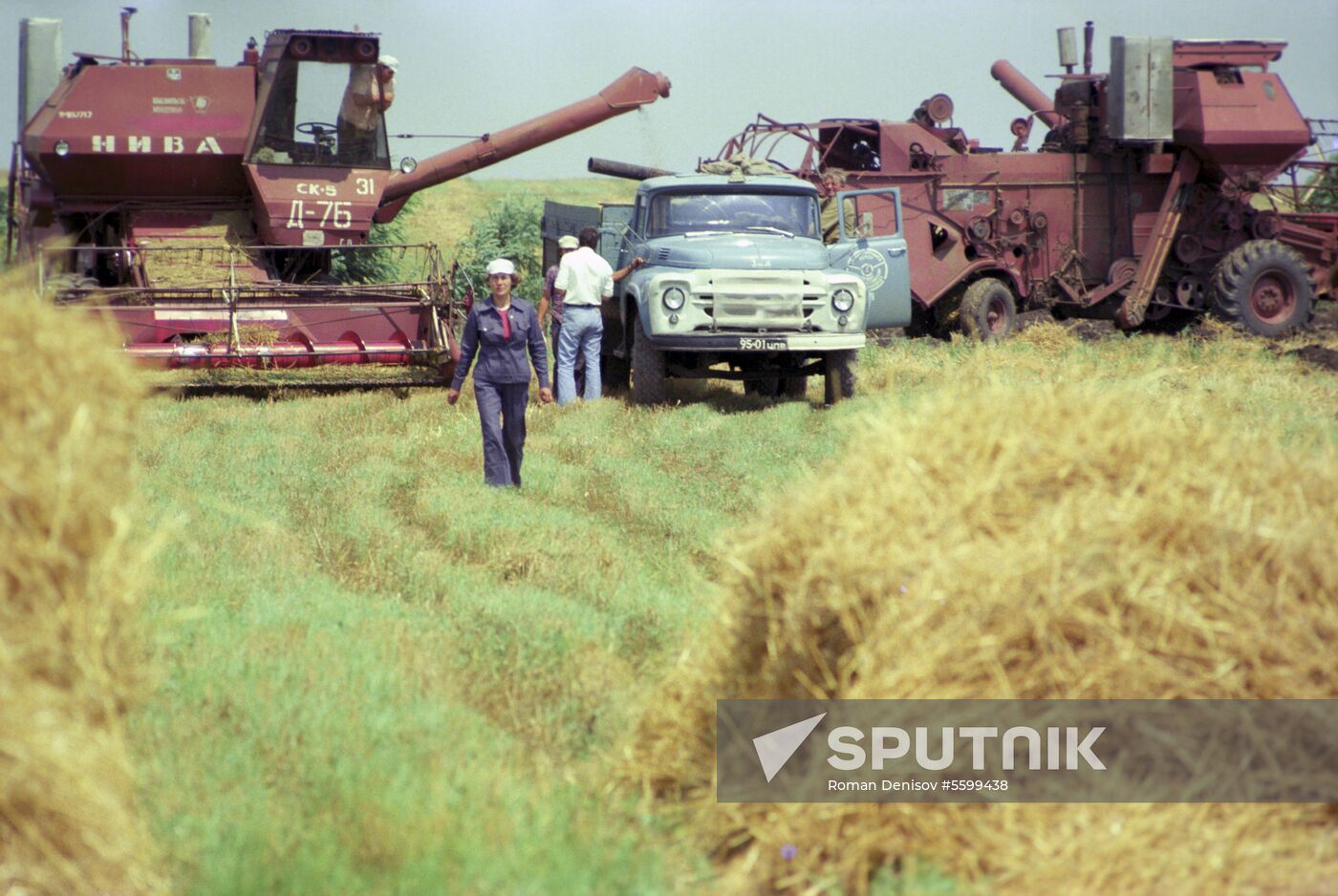 Kirov collective farm in Krasnodar Territory