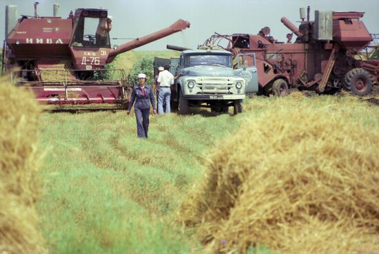 Kirov collective farm in Krasnodar Territory