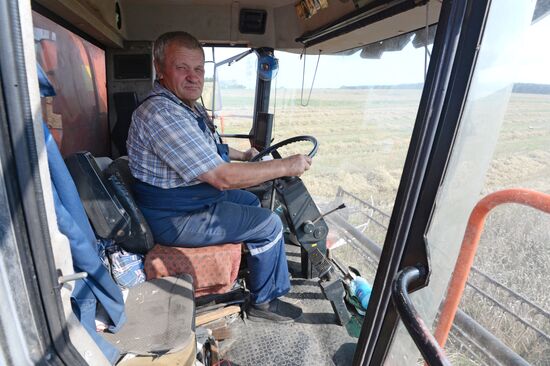 Grain harvest in Brest Region