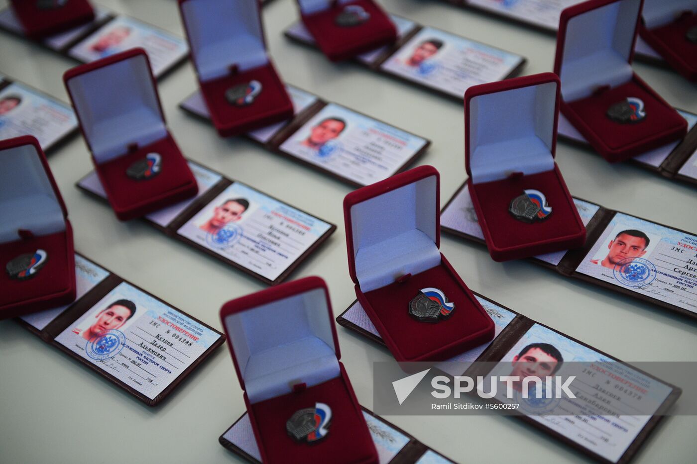 Russian national football team players awarded Merited Master of Sport title