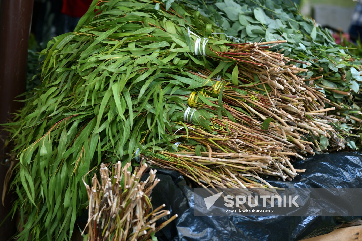 Central market in Sukhumi