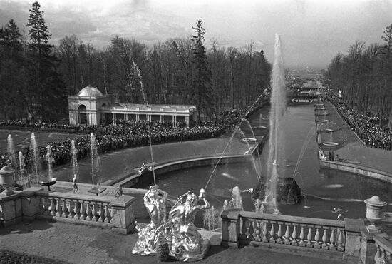Peterhof fountains