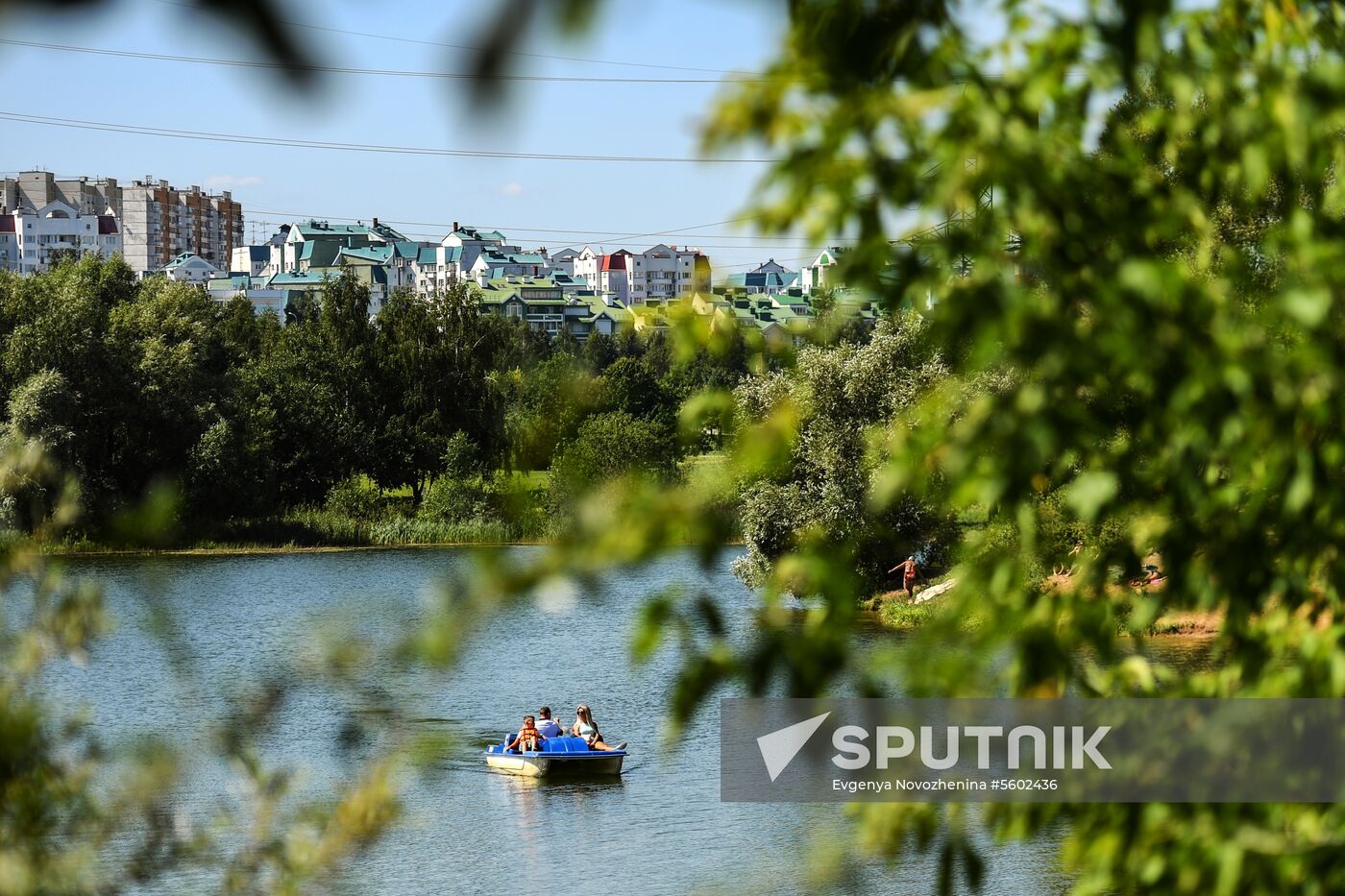 Results of improvement in Mitino landscape park