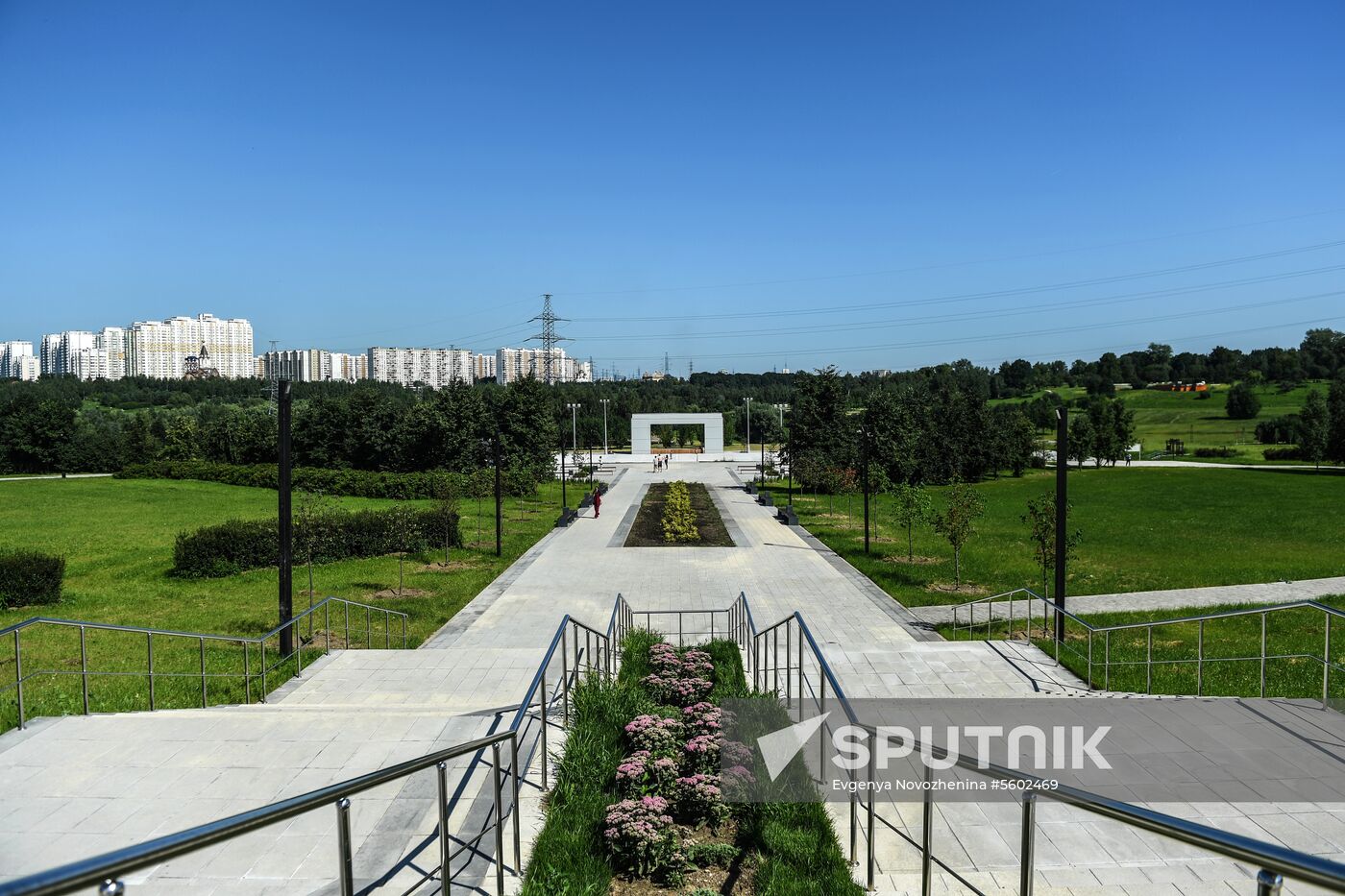 Results of improvement in Mitino landscape park