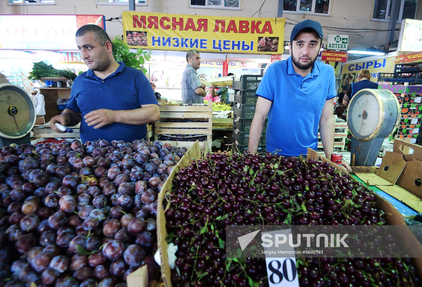 Watermelons go on sale in Moscow