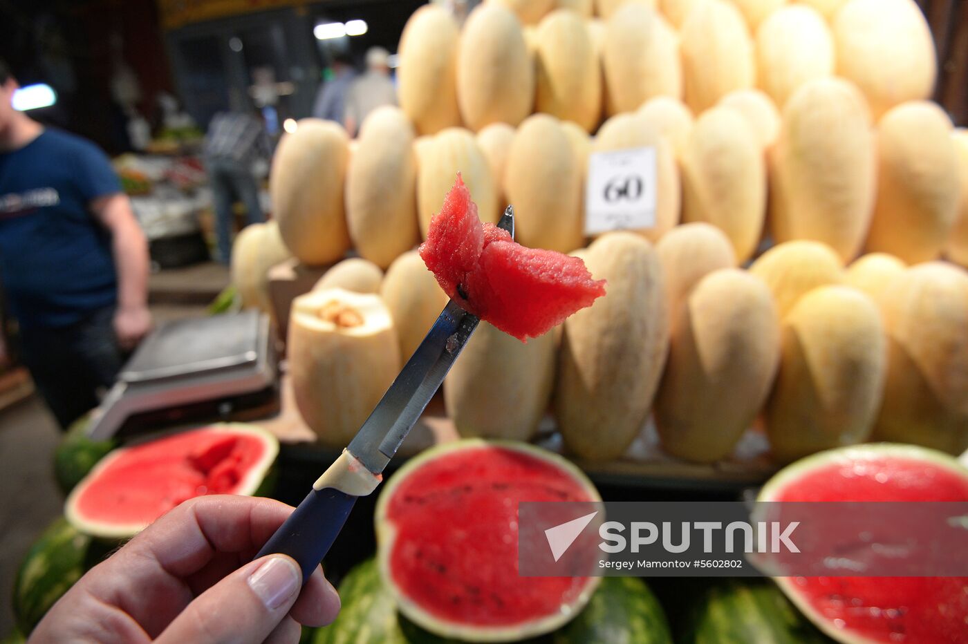 Watermelons go on sale in Moscow