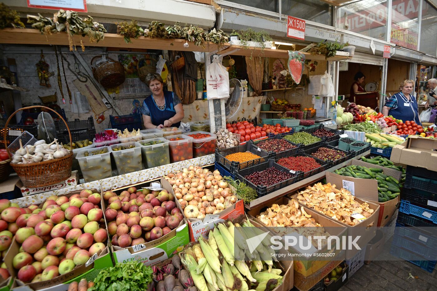 Watermelons go on sale in Moscow