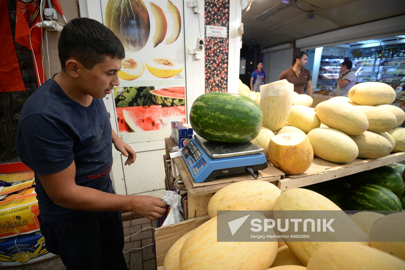 Watermelons go on sale in Moscow