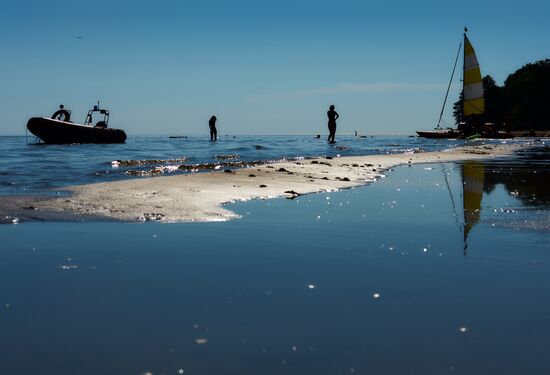 Vacation on shore of Gulf of Finland in St. Petersburg