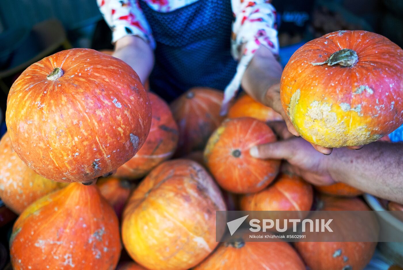 Fruits and vegetables on Krasnodar's central market