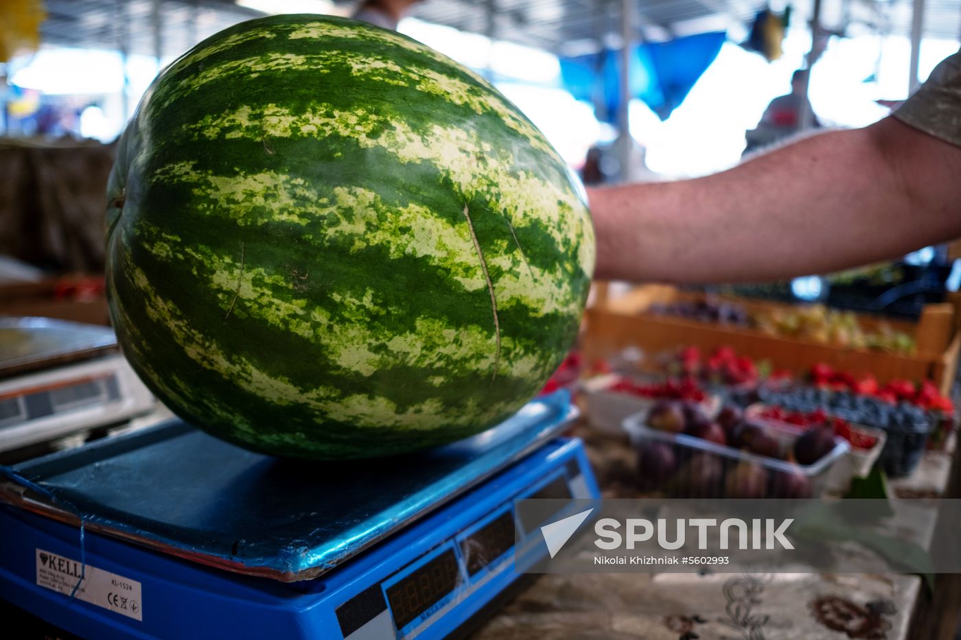 Fruits and vegetables on Krasnodar's central market