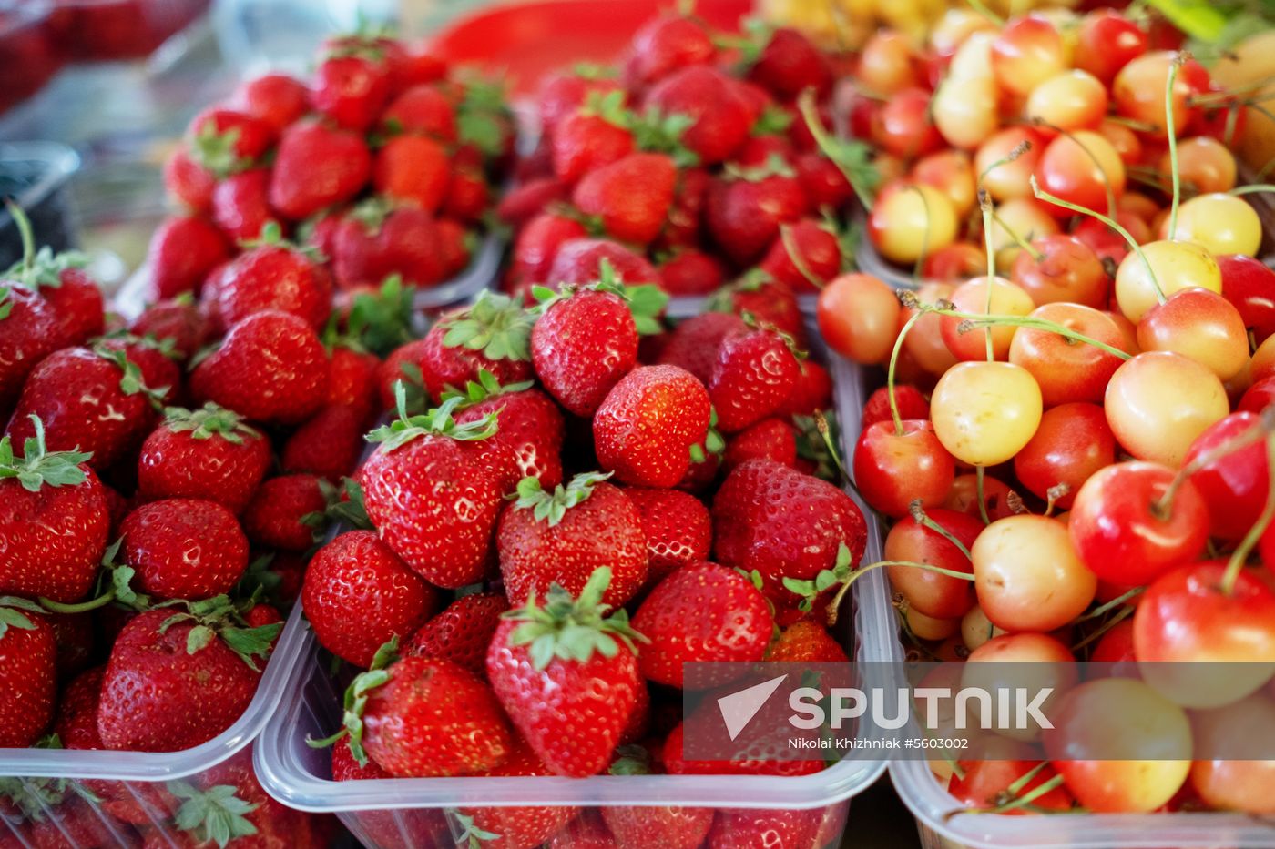 Fruits and vegetables on Krasnodar's central market