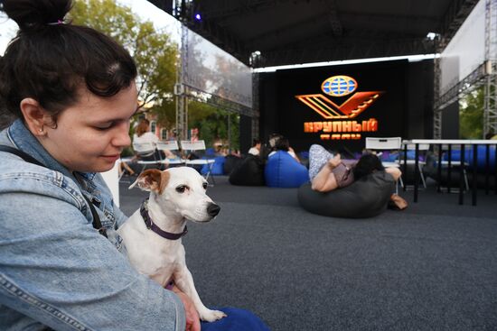 Outdoor cinemas open in Moscow parks
