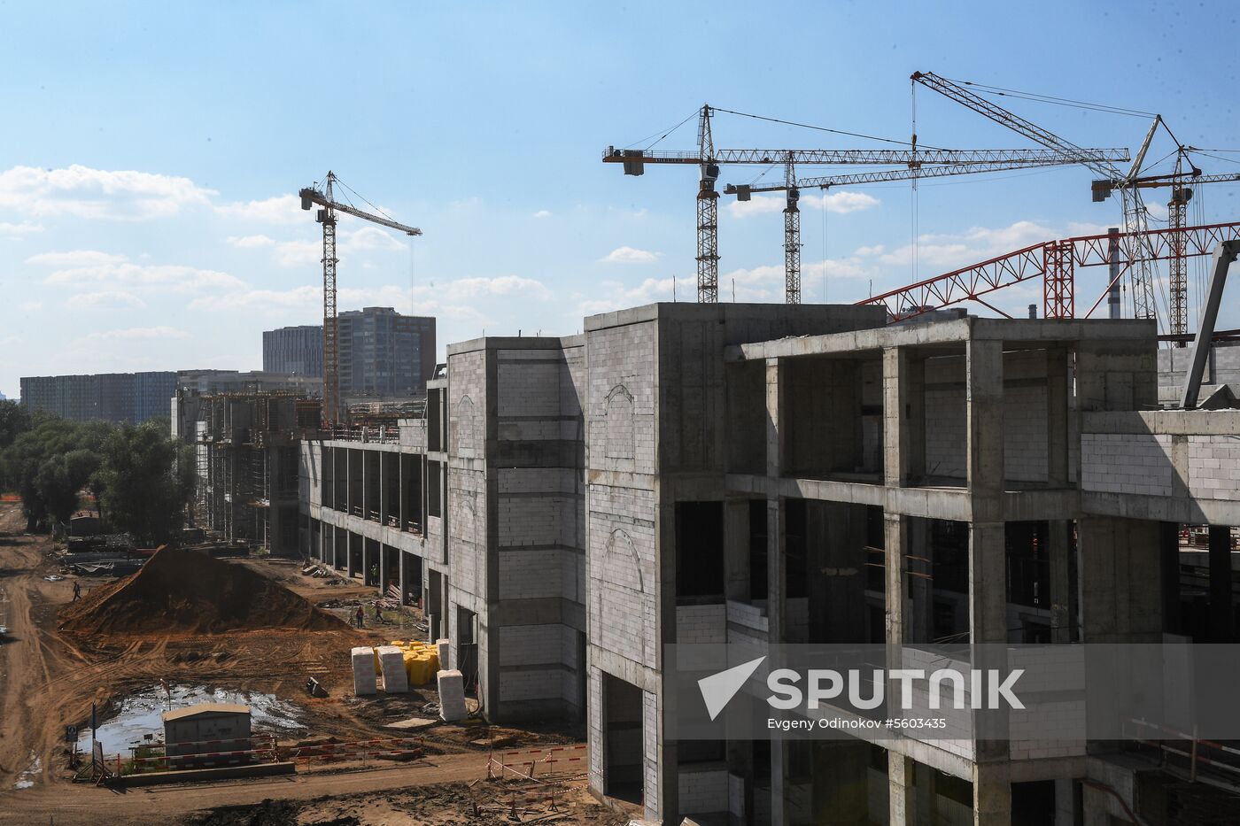 Dream Island entertainment park