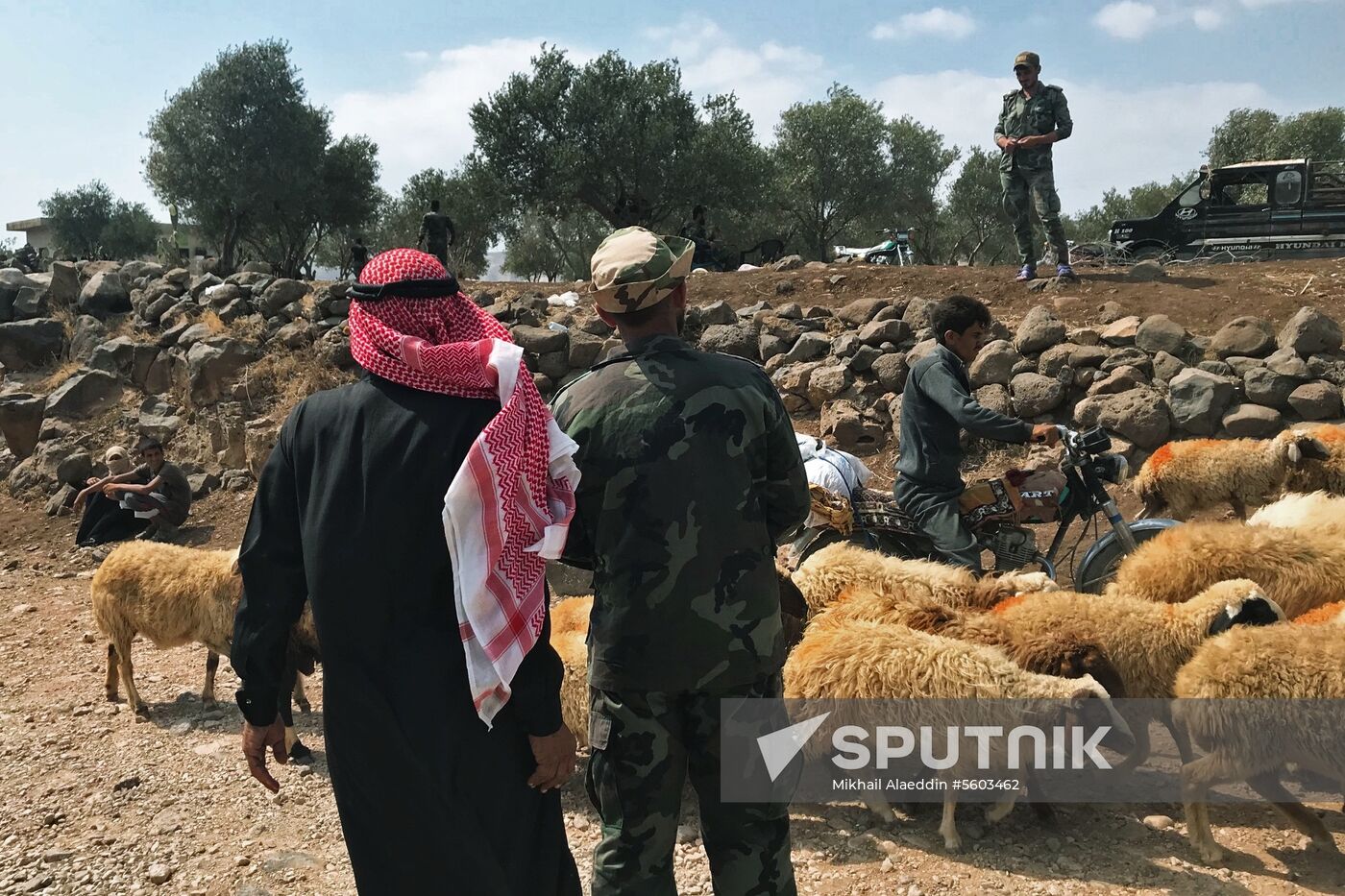 Syrian Army liberated Daraa Province