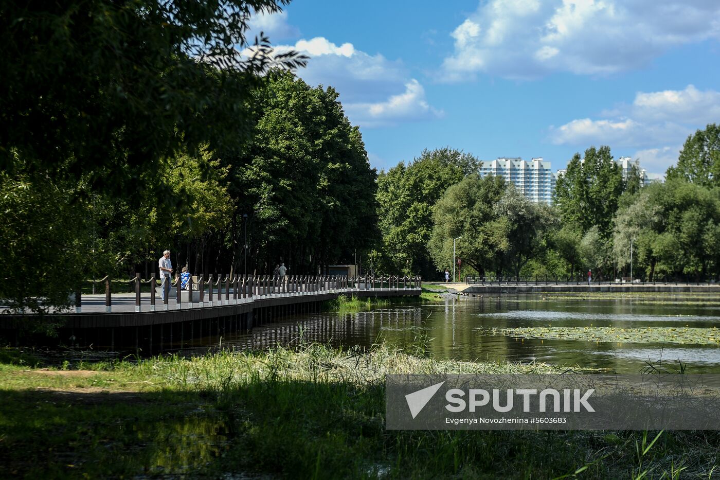 Improvement in Mikhalkovo Estate Park