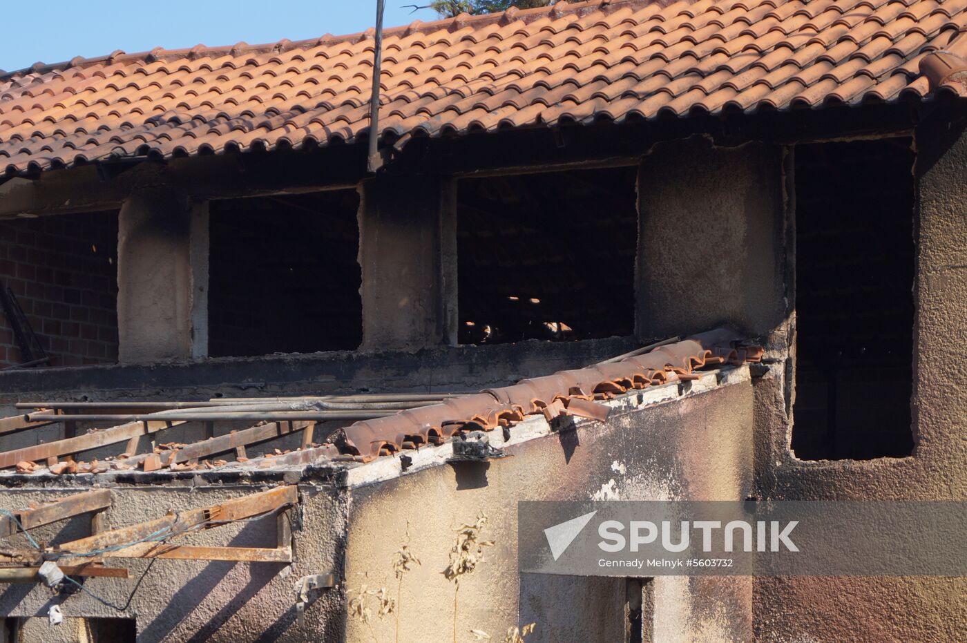 Consequences of wildfires in Greece