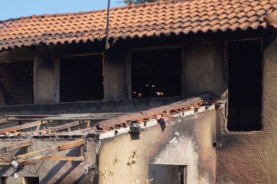 Consequences of wildfires in Greece