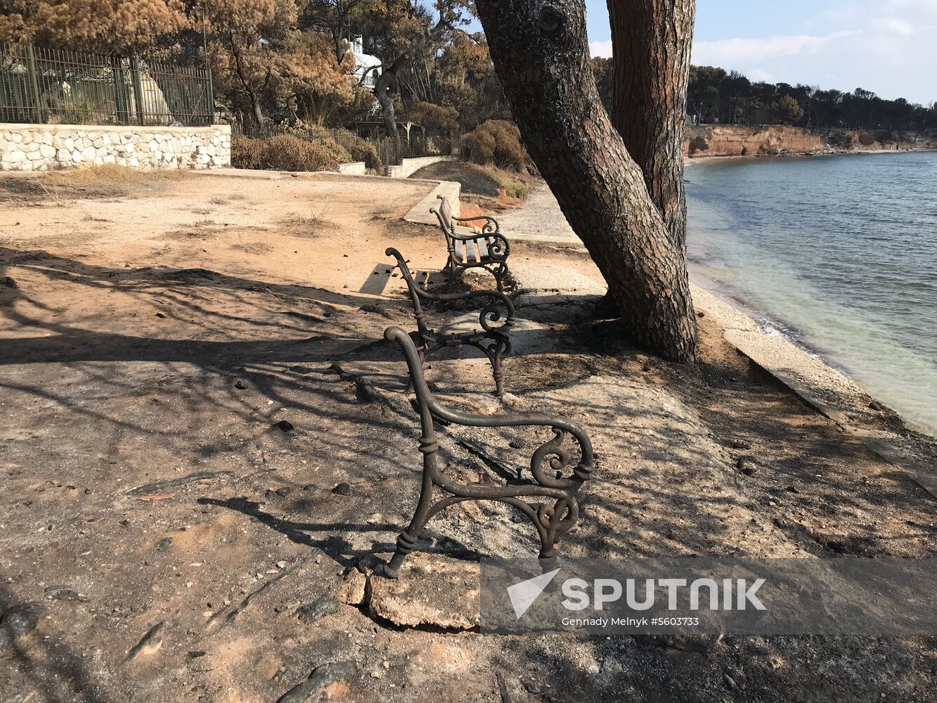 Consequences of wildfires in Greece