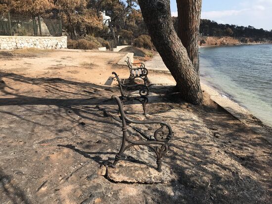 Consequences of wildfires in Greece
