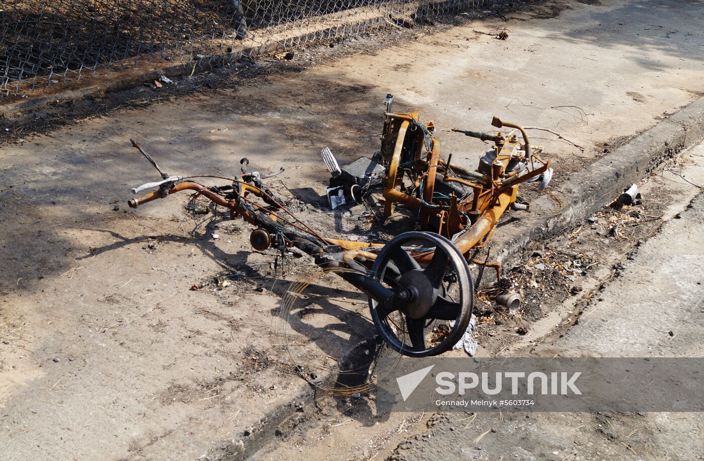 Consequences of wildfires in Greece