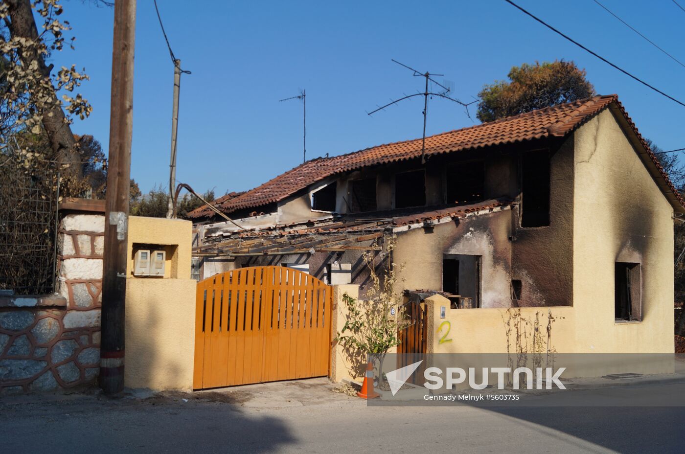 Consequences of wildfires in Greece