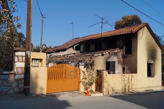 Consequences of wildfires in Greece