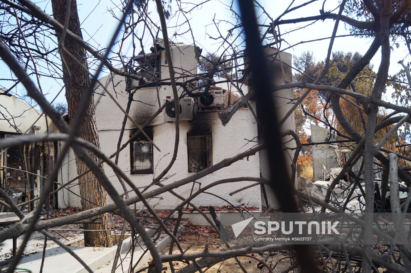 Consequences of wildfires in Greece
