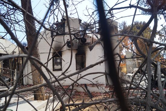Consequences of wildfires in Greece