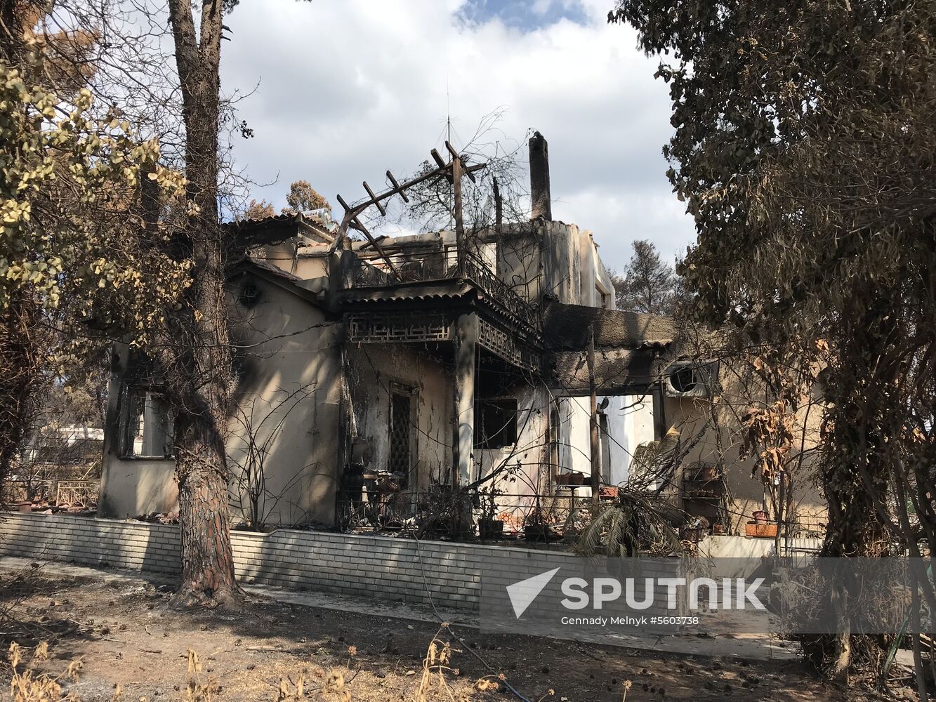 Consequences of wildfires in Greece
