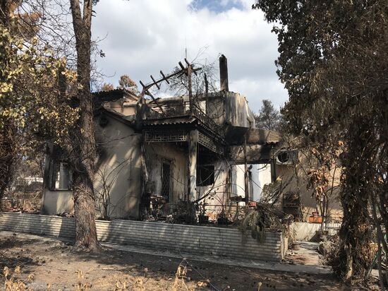 Consequences of wildfires in Greece