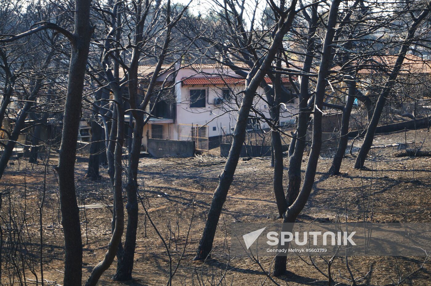 Consequences of wildfires in Greece